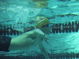 Photos Saison 2014-2015 &raquo; Journée des 4 Nages