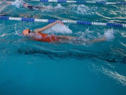 Photos Saison 2014-2015 &raquo; Journée des 4 Nages