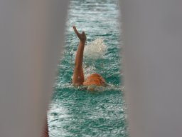 Photos Saison 2014-2015 &raquo; Journée des 4 Nages