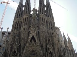 DSCN3359