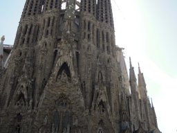 DSCN3364