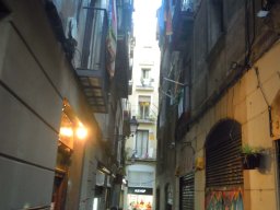 DSCN3511