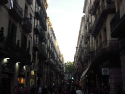 DSCN3513