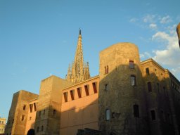 DSCN3517