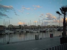 DSCN3529