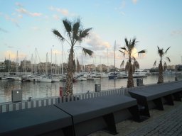DSCN3530