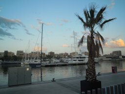 DSCN3531
