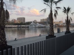 DSCN3534