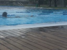 Photos Saison 2014-2015 &raquo; Stage à Granollers (Espagne)