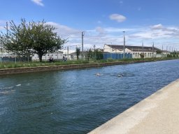 Photos Saison 2024-2025 &raquo; Nage ton Canal - Août 2025