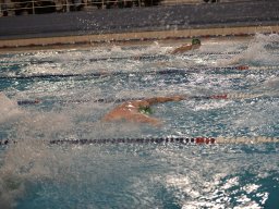 Photos Saison 2025-2026 &raquo; Amicale de Noël