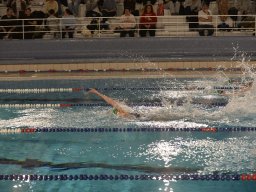 Photos Saison 2025-2026 &raquo; Amicale de Noël