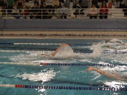 Photos Saison 2025-2026 &raquo; Amicale de Noël