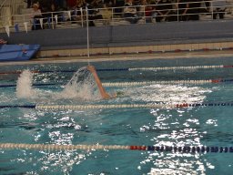 Photos Saison 2025-2026 &raquo; Amicale de Noël