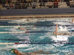 Photos Saison 2025-2026 &raquo; Amicale de Noël